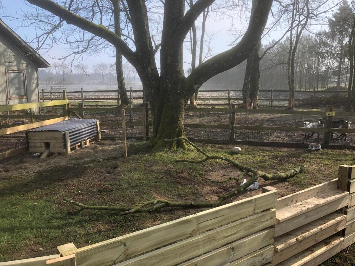 Vakantiehuis Hestkaer Family Grindsted